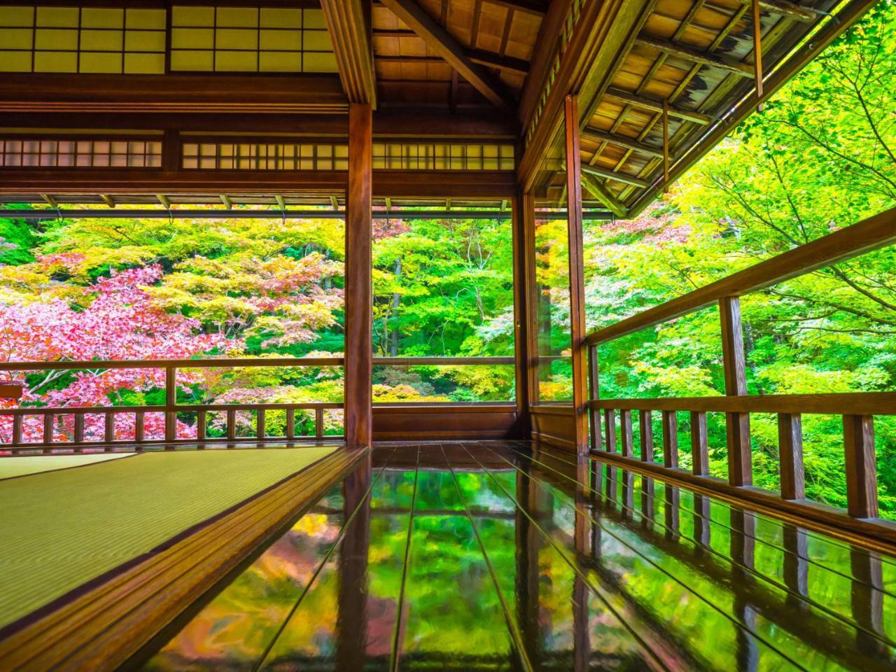 Hg Cozy Hotel No.11 Kyoto Dış mekan fotoğraf